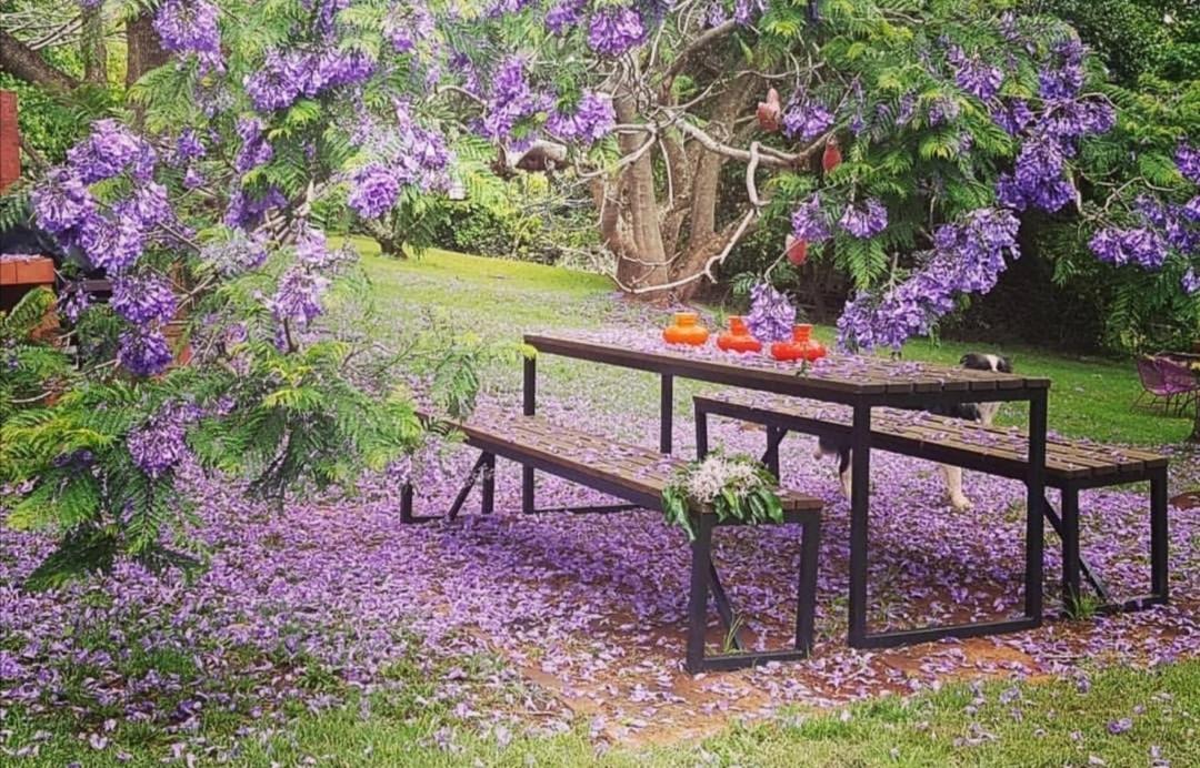 Wyndover Mountain Retreat Beechmont Bagian luar foto