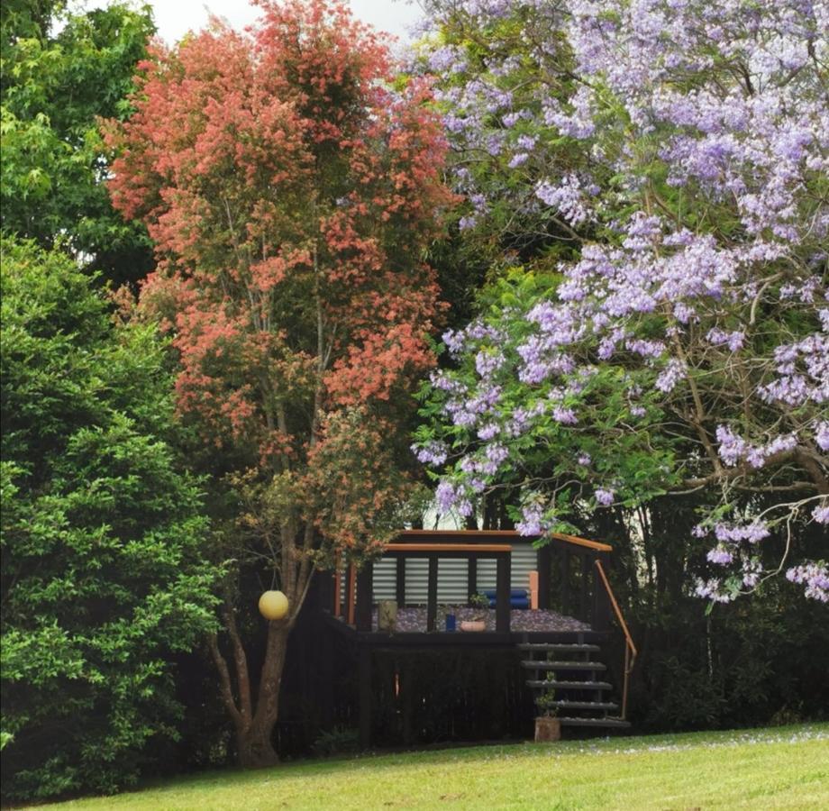 Wyndover Mountain Retreat Beechmont Bagian luar foto