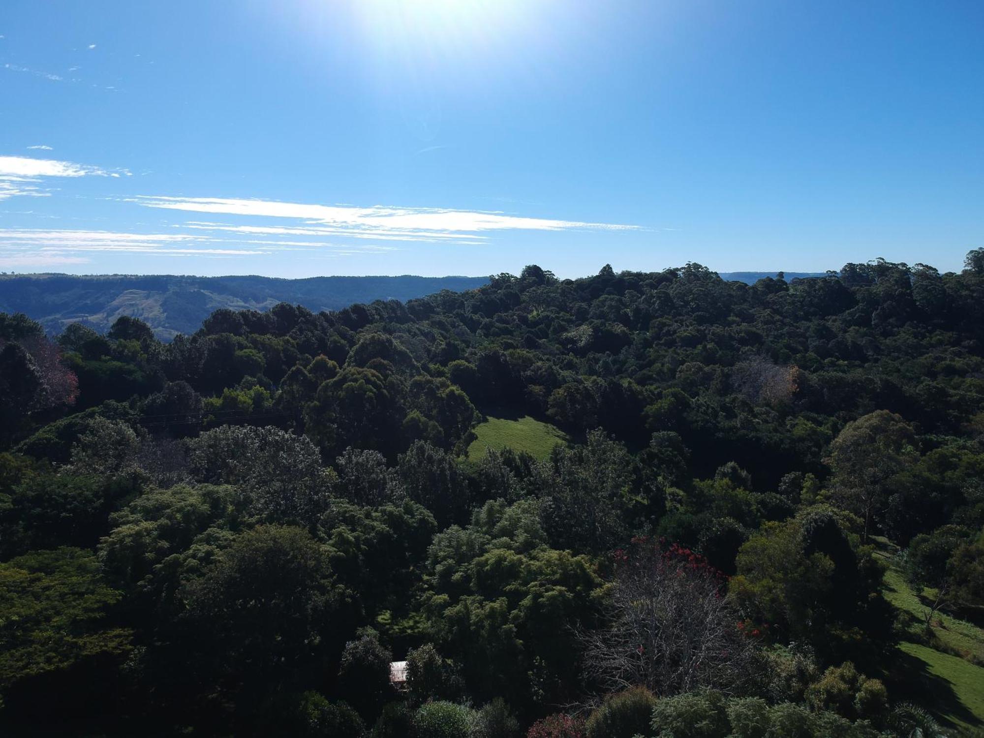 Wyndover Mountain Retreat Beechmont Bagian luar foto