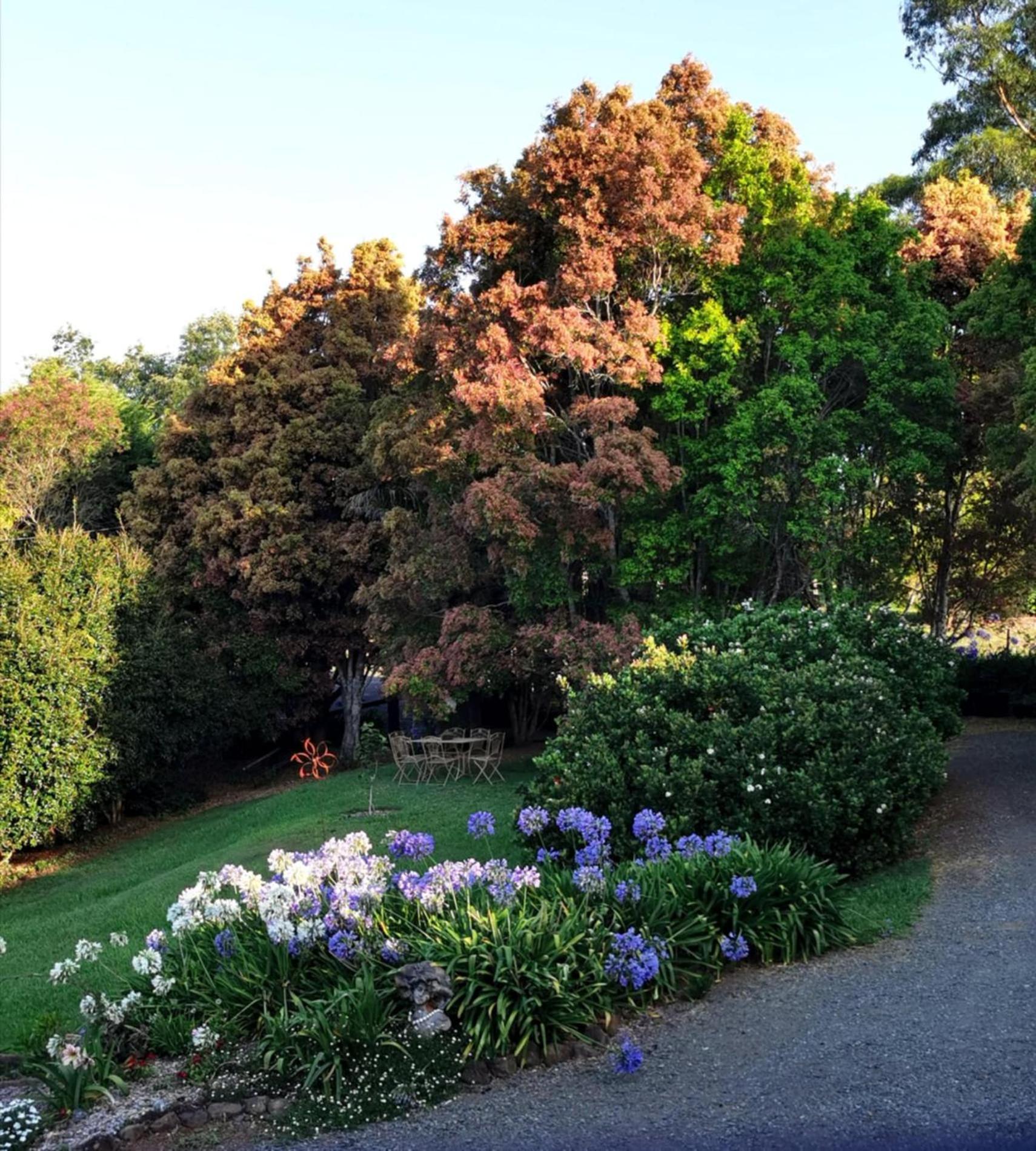 Wyndover Mountain Retreat Beechmont Bagian luar foto