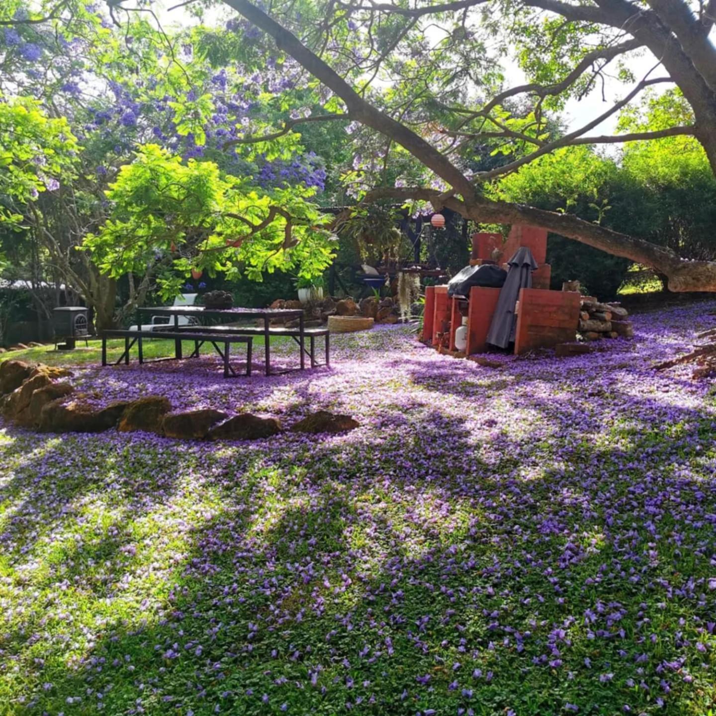 Wyndover Mountain Retreat Beechmont Bagian luar foto