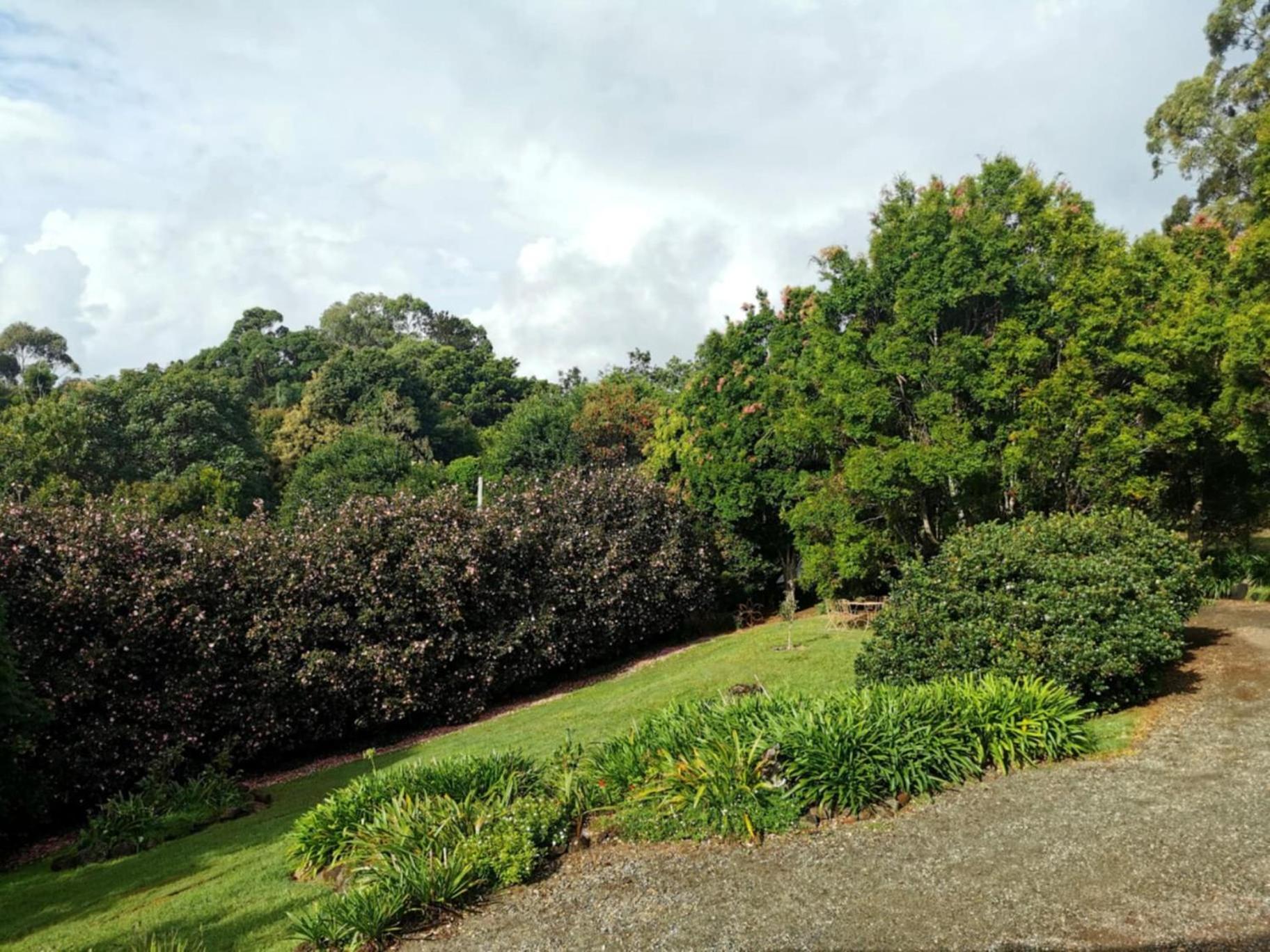 Wyndover Mountain Retreat Beechmont Bagian luar foto