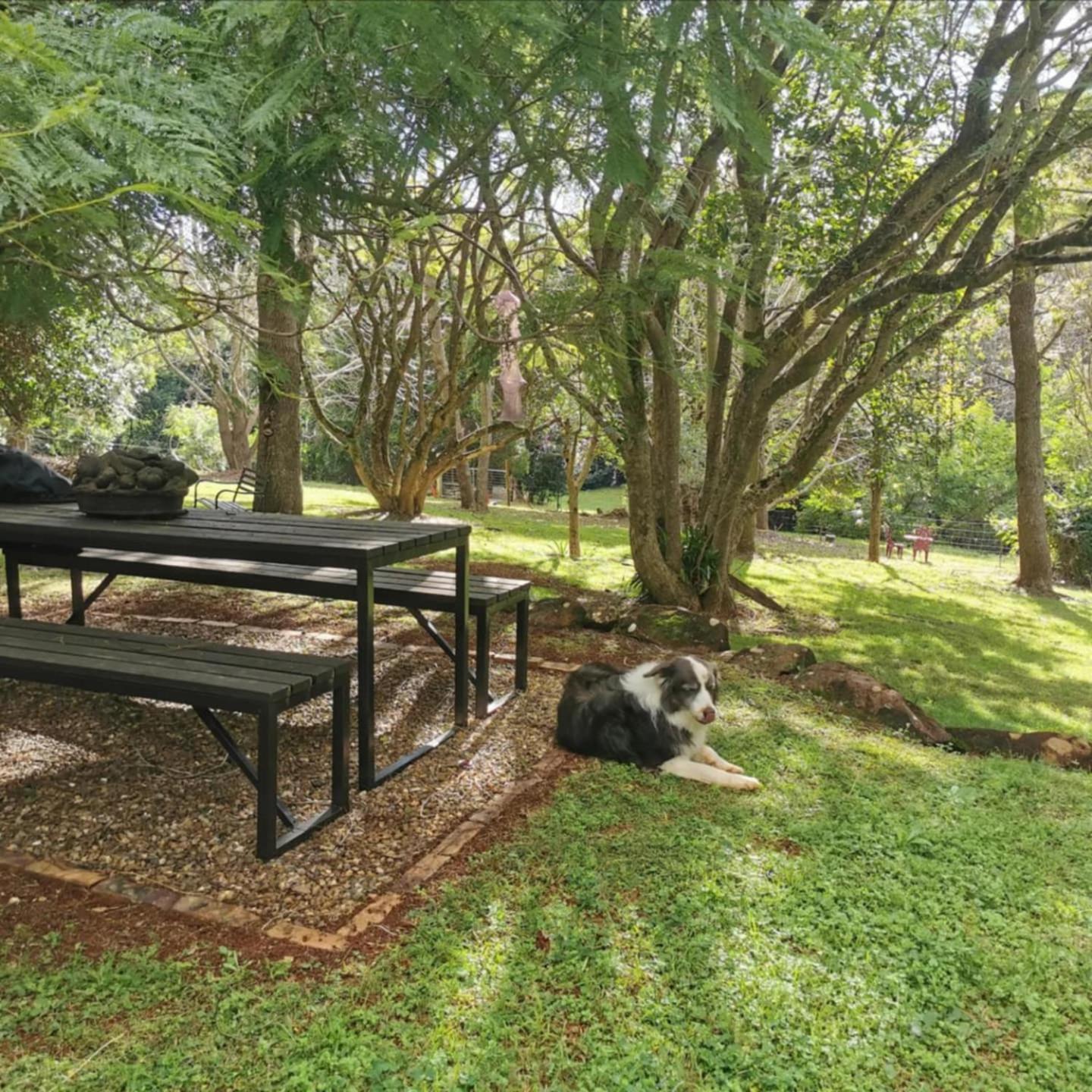 Wyndover Mountain Retreat Beechmont Bagian luar foto