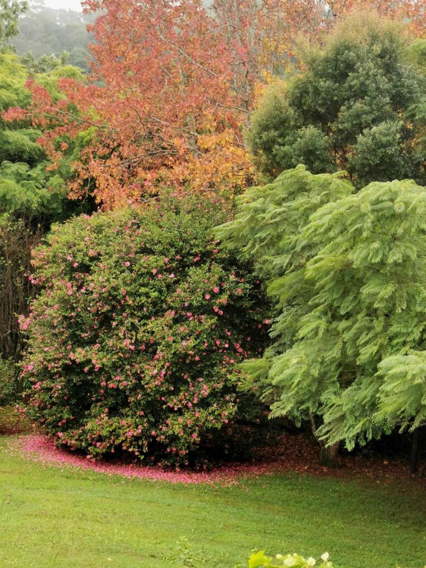 Wyndover Mountain Retreat Beechmont Bagian luar foto