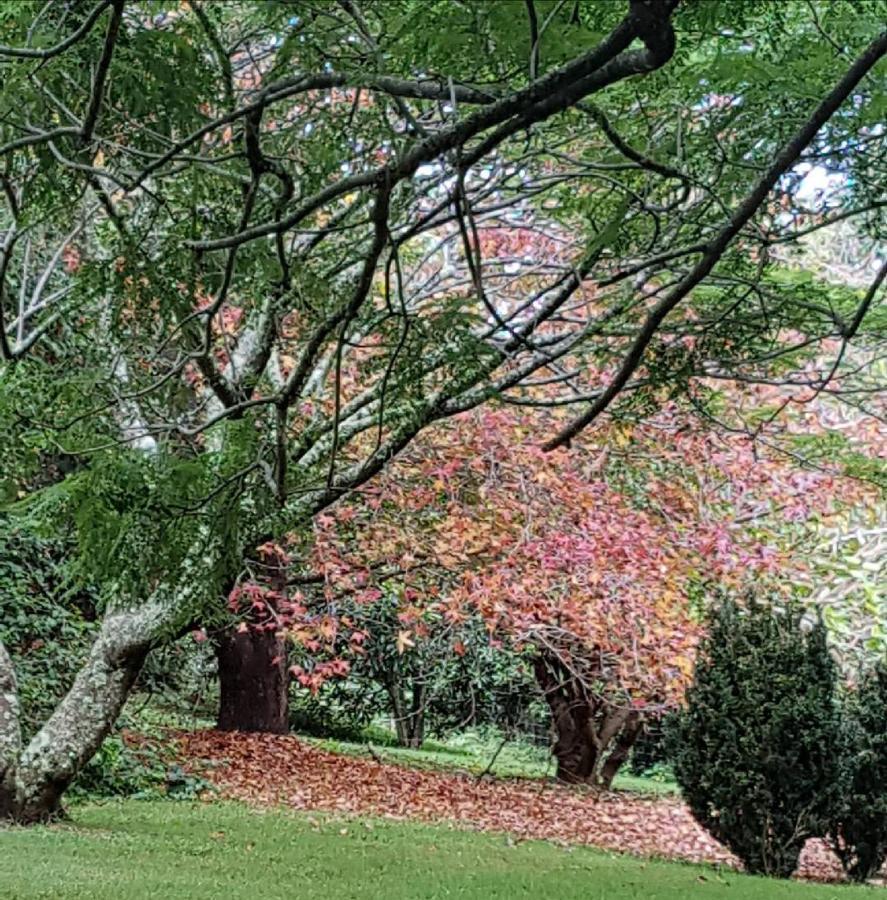 Wyndover Mountain Retreat Beechmont Bagian luar foto